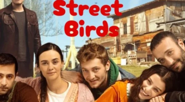 Street Birds