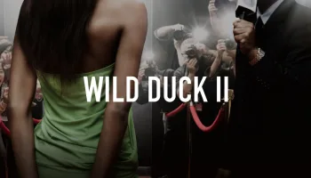 Wild Duck II