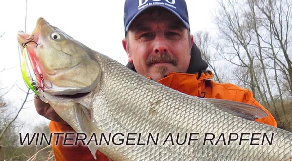 Winterangeln auf Rapfen