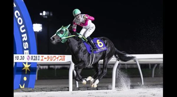 グリーンチャンネル地方競馬中継（エーデルワイス賞・門別）