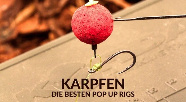 Karpfen - die besten Pop Up Rigs