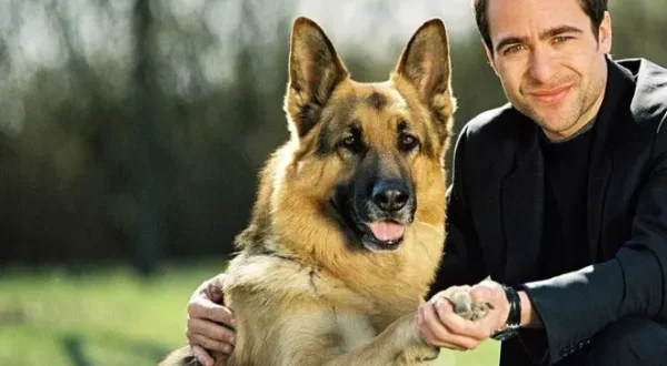 Rex, chien flic