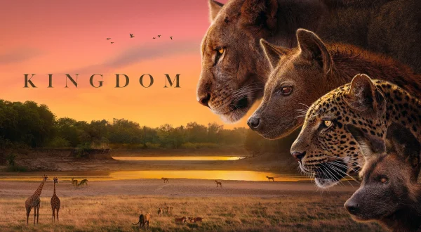 Kingdom