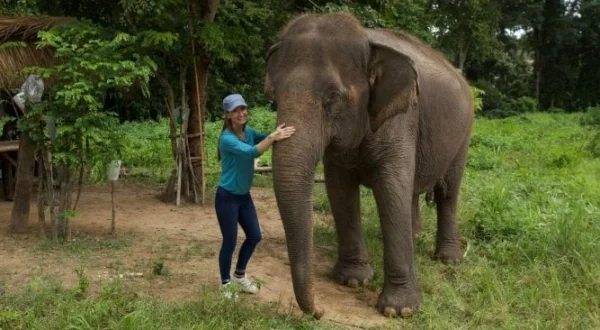 L'hôpital des éléphants | Baby Elephant Hospital
