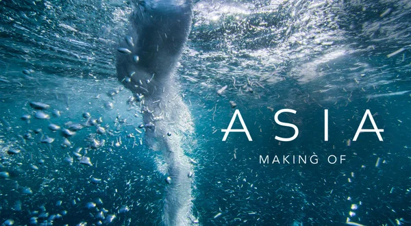 Asia: Making Of