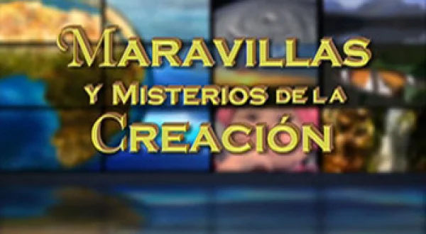 Maravillas Y Misterios De La Creación