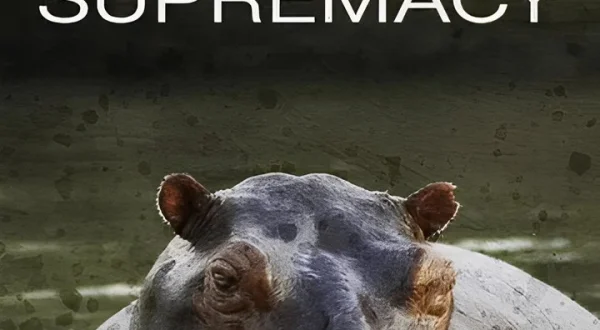Hippo Supremacy