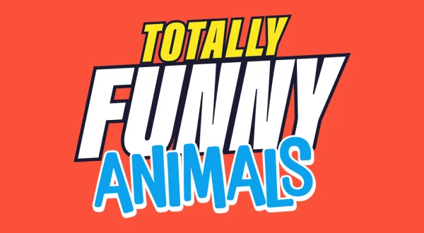 Totally Funny Animals