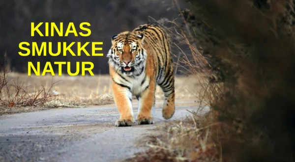 Kinas smukke natur