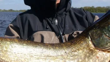 Pike On 5
