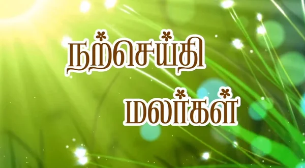 Narseithi Malargal