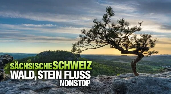Sächsische Schweiz - Wald, Stein, Fluss - nonstop