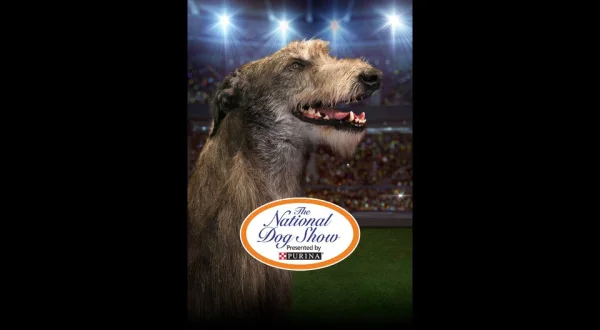 The National Dog Show