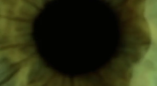 Ai confini della gelosia