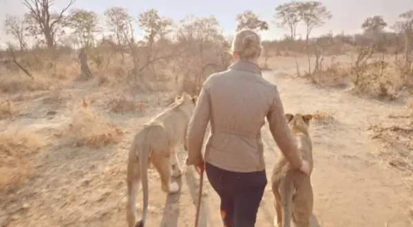 Sarah Grahams Food Safari