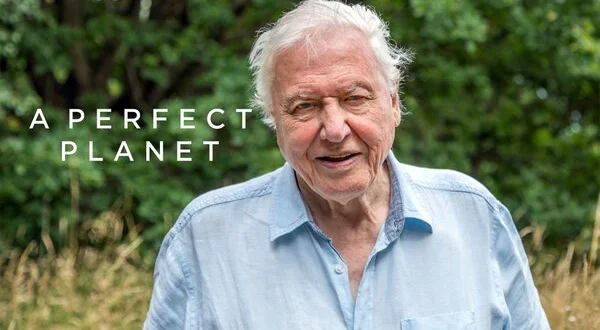 A Perfect Planet