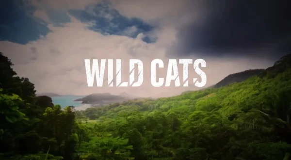 Wild Cats