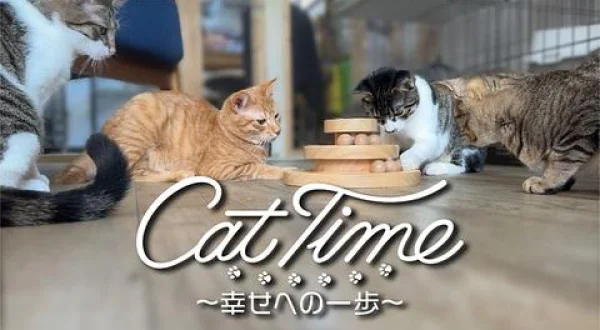 Cat Time ～幸せへの一歩～ 10min