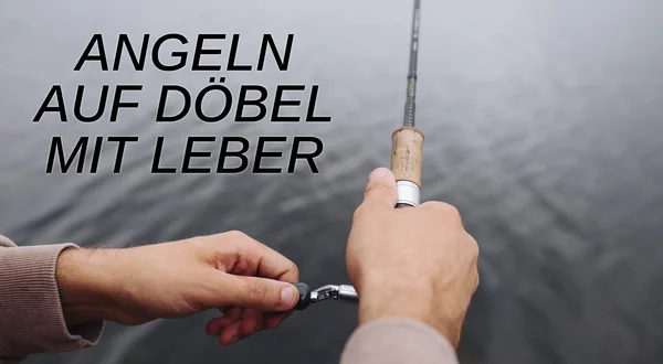 Angeln auf Döbel mit Leber