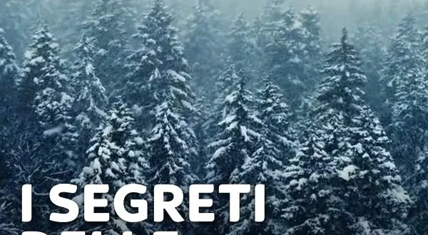 I segreti delle foreste incantate