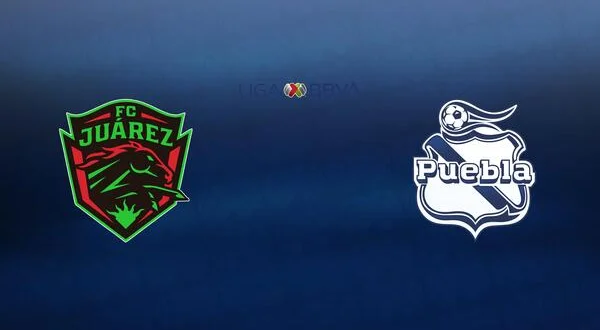 Live: Fútbol Mexicano Primera División