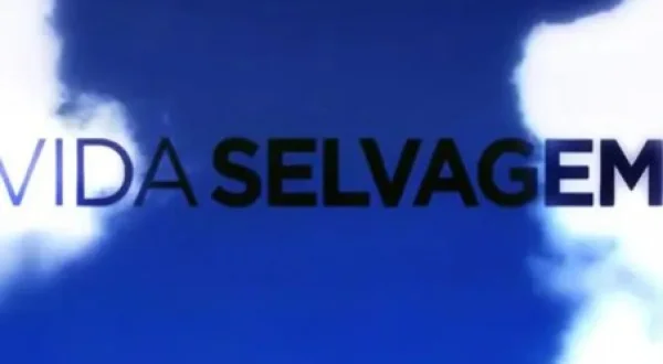 Vida Selvagem: A Peninsula Ibérica: As Planícies