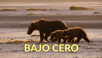 Bajo cero