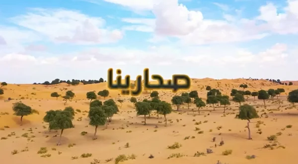 صحارينا