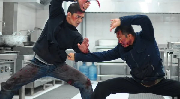 The Raid 2