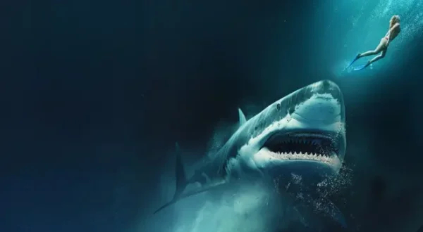 Into the Deep