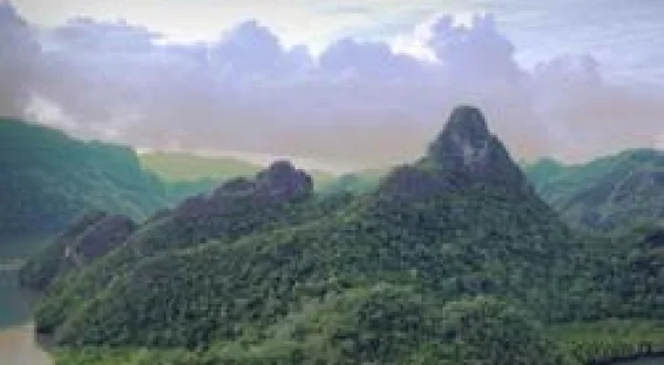 Malaisie, oasis de vies
