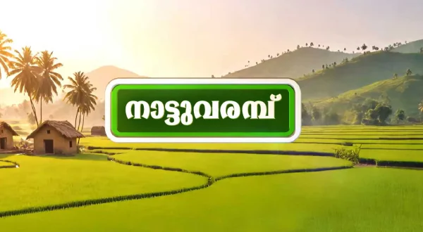Nattu Varambu