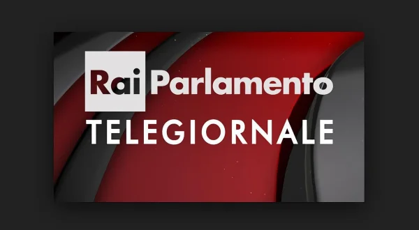 Rai Parlamento Telegiornale