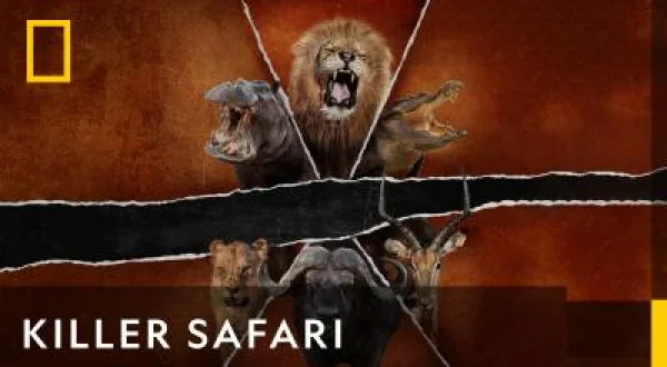 Ölümcül Safari: Büyük Kedilerin Savaşı