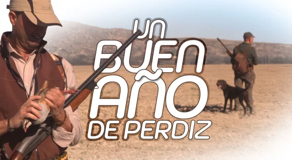 Un buen año de perdiz