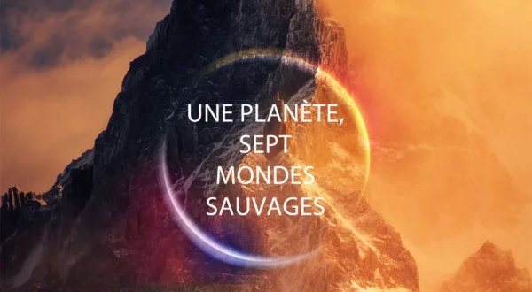 Seven Worlds, One Planet
