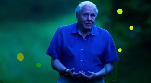 David Attenborough: Luci sul pianeta