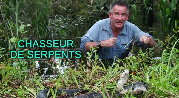 Chasseur de serpents