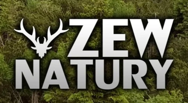 Zew natury