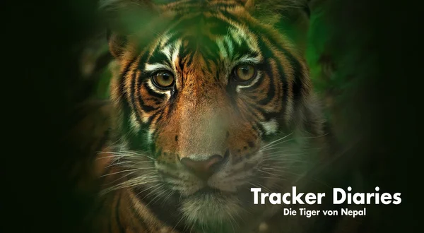 Tracker Diaries - Die Tiger von Nepal