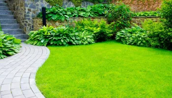 Atelier jardin