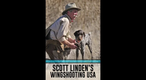 Wingshooting USA