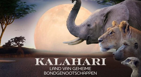 Kalahari: Land van geheime bondgenootschap