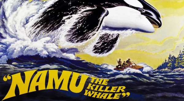 Namu, the Killer Whale