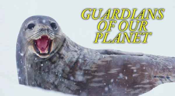 Guardians Of Our Planet