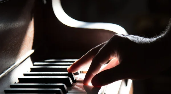 Muzički program