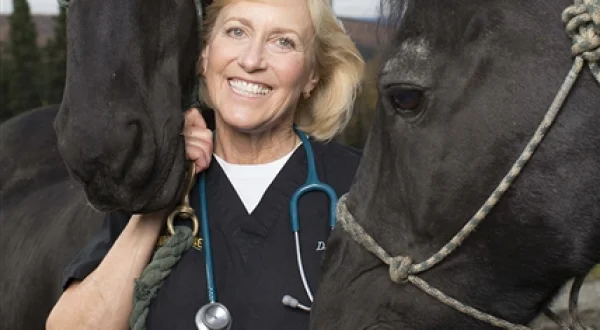 Dra. Dee: veterinaria de Alaska | Entrar en acción