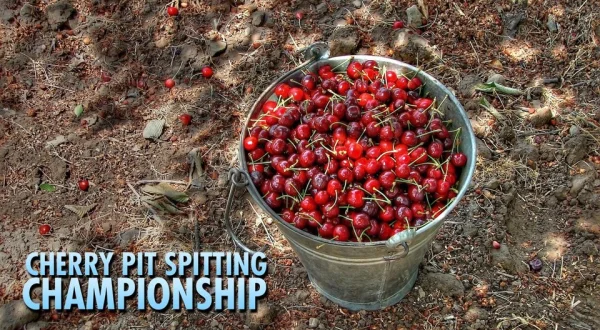 Cherry Pit Spitting Championship