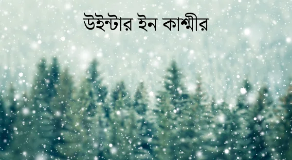 Winter In Kashmir