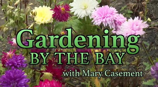 Gardening By The Bay
